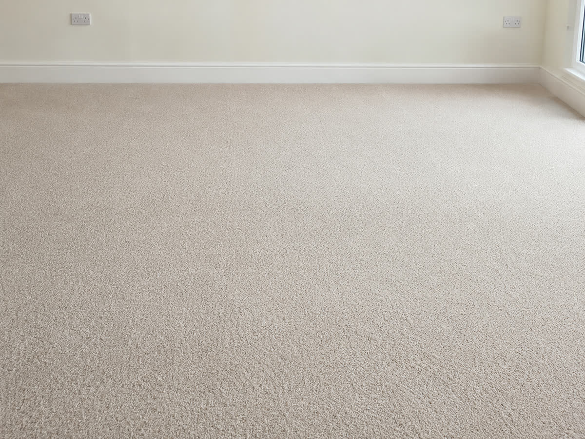 Carpet after cleaning by CSB & Sons Cleaning