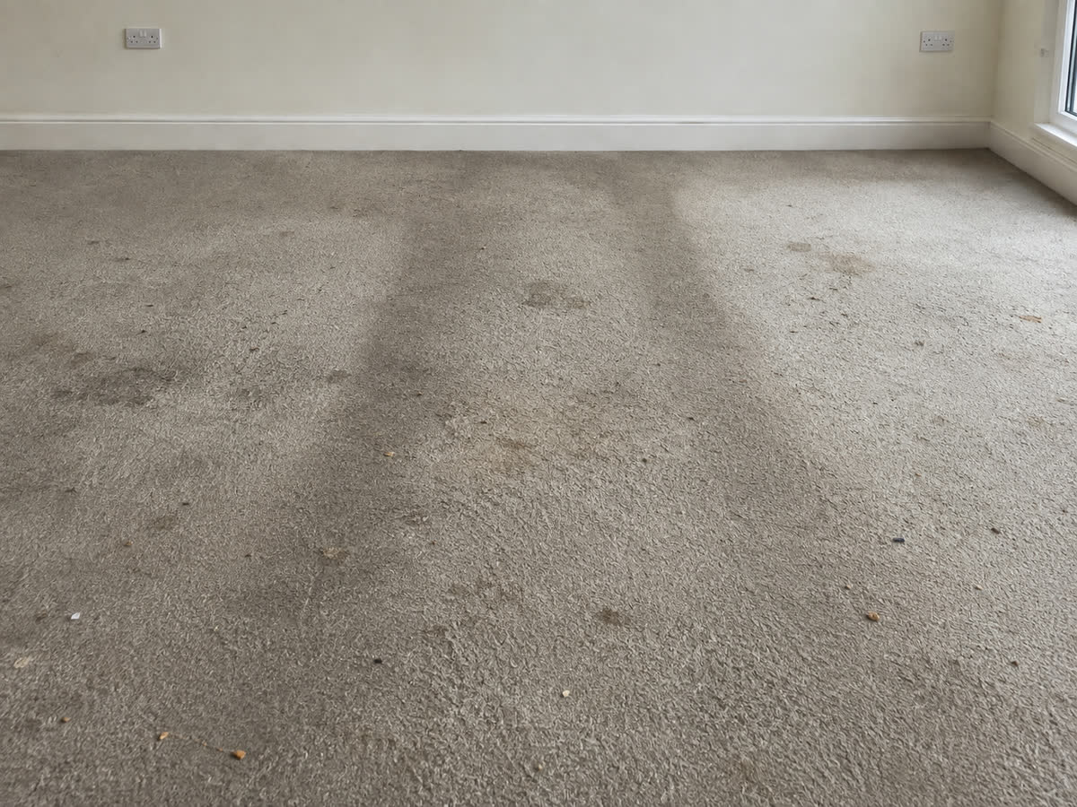 Carpet before cleaning